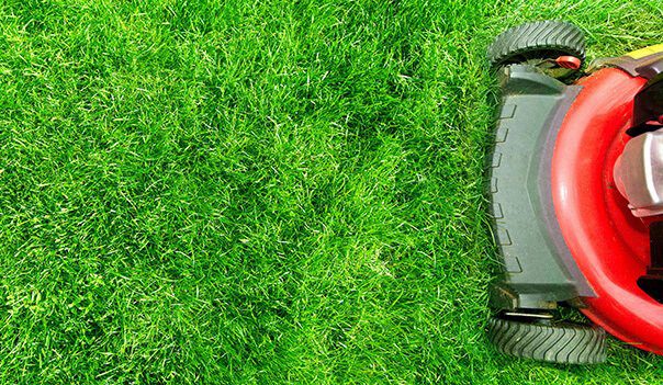 mowing-grass-blog-featured