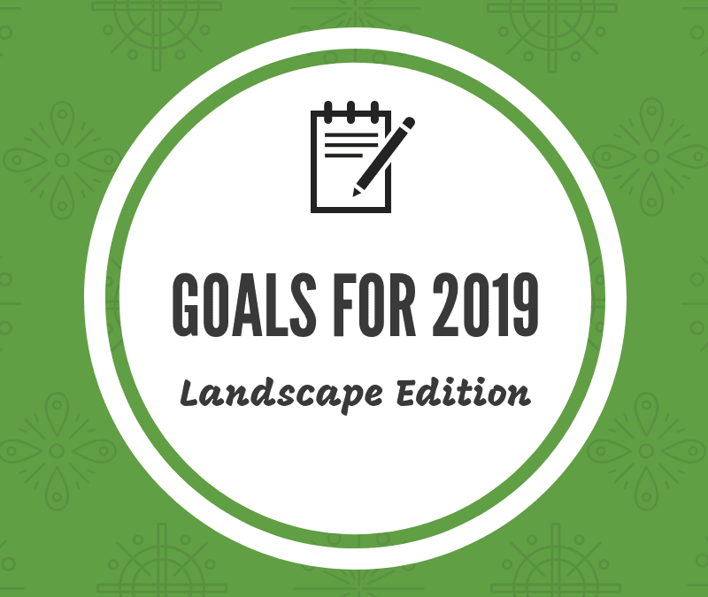 Goals-for-2019-Social-Media-Post-800x675