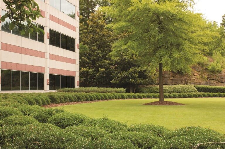 Low Maintenance Landscaping Ideas for Commercial Properties