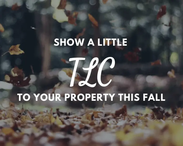 The TLC your Property Needs Now