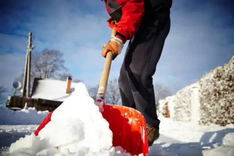 Landscaping in Winter: Tips for the Cold Months
