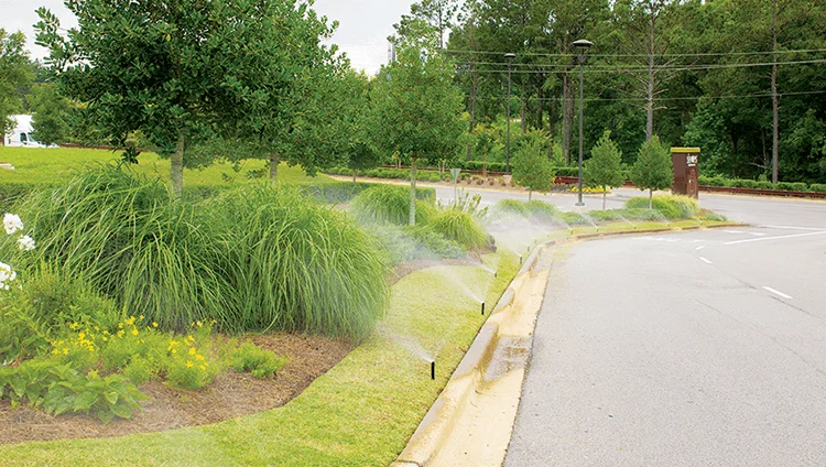 Best time to store water grass