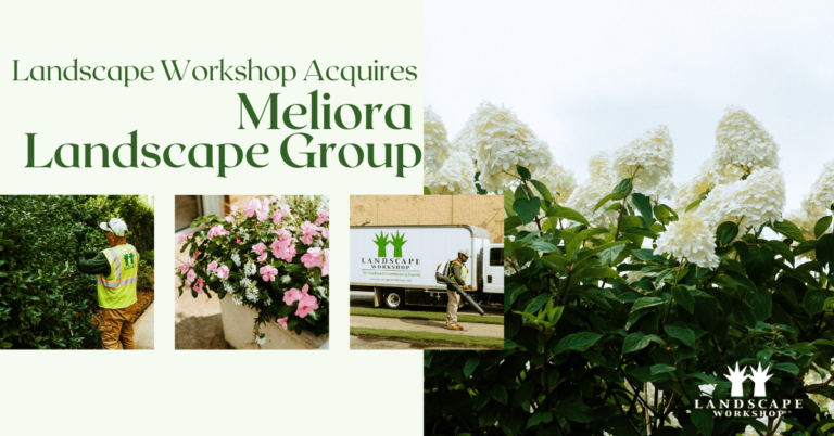 Landscape Workshop Acquires Meliora Landscape Group