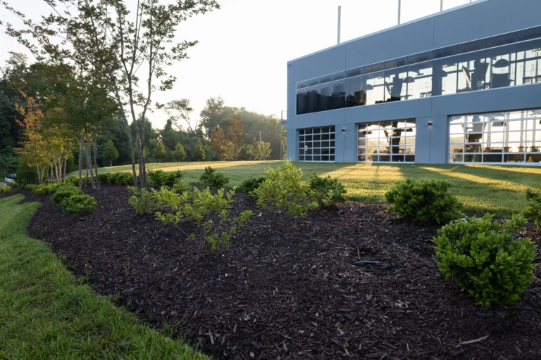 Can Commercial Landscaping Help Your Business Attract Customers? 