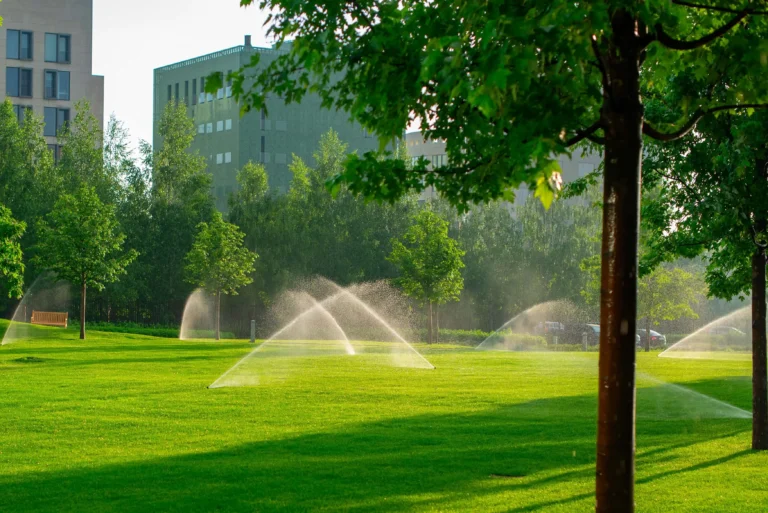 Why Landscape Irrigation System Checks Are Important