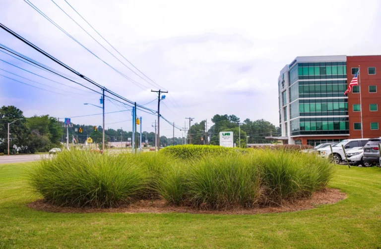 What Is Commercial Landscaping?