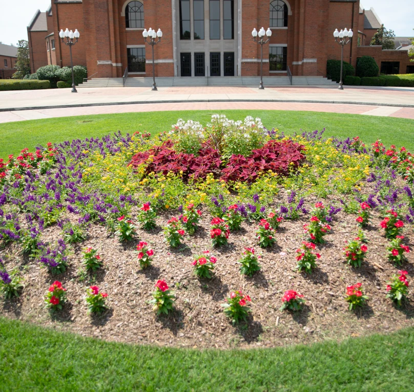 A well-manicured garden with vibrant flowering shrubs and green lawns with a church in the background.