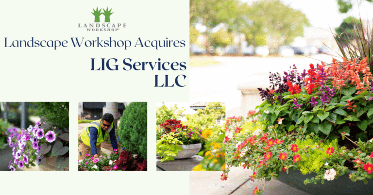 LIG Services Acquisition Banner with flowers and floating images