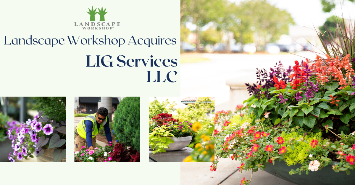 LIG Services Acquisition Banner with flowers and floating images