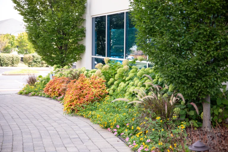 How Early Planning Shapes Spring Landscape Success