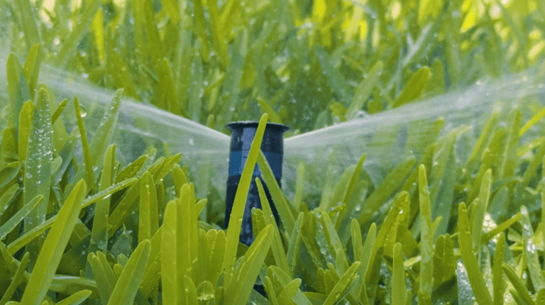 Sprinkler irrigation system on grass