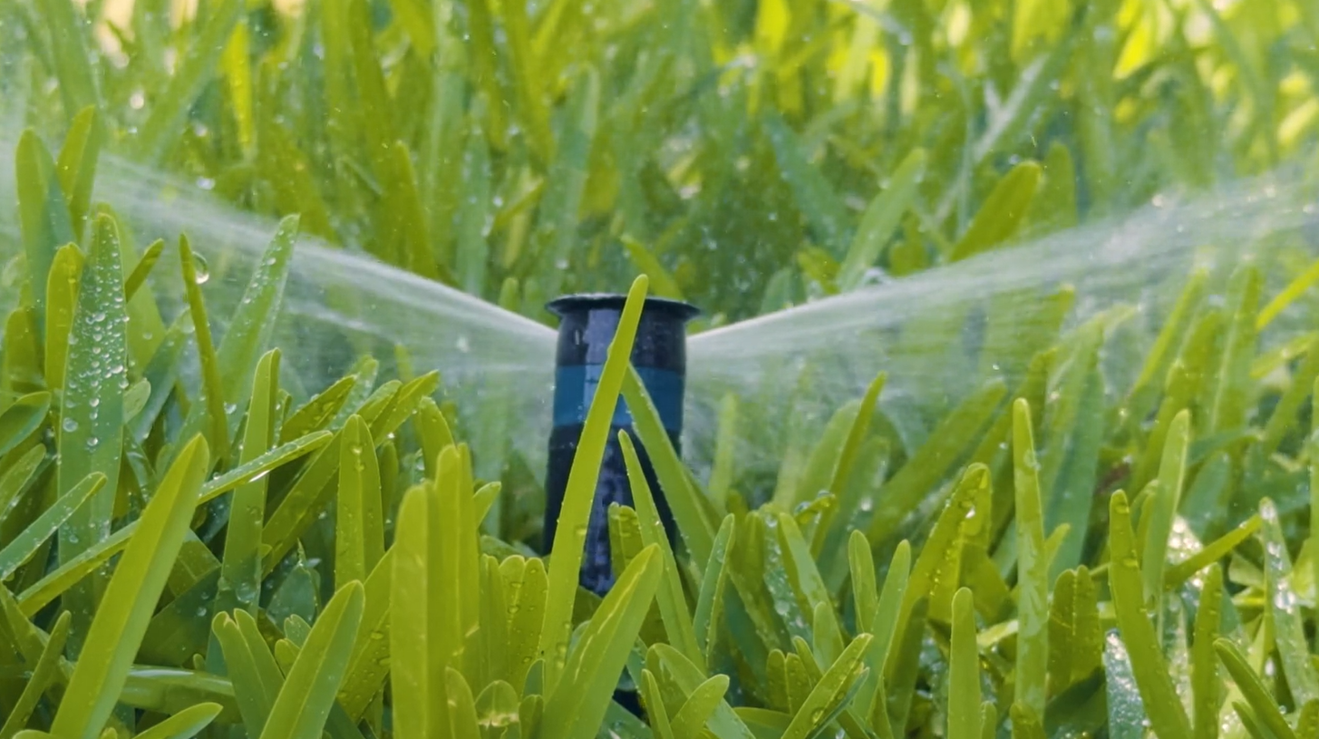 Sprinkler irrigation system on grass