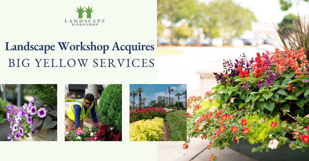 Landscape Workshop Acquires Big Yellow Services